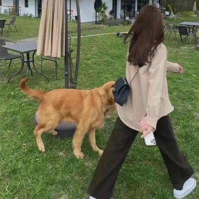 真爱满行囊